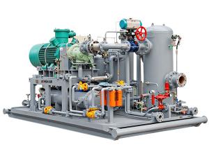 Rotary Screw Natural Gas Compressor